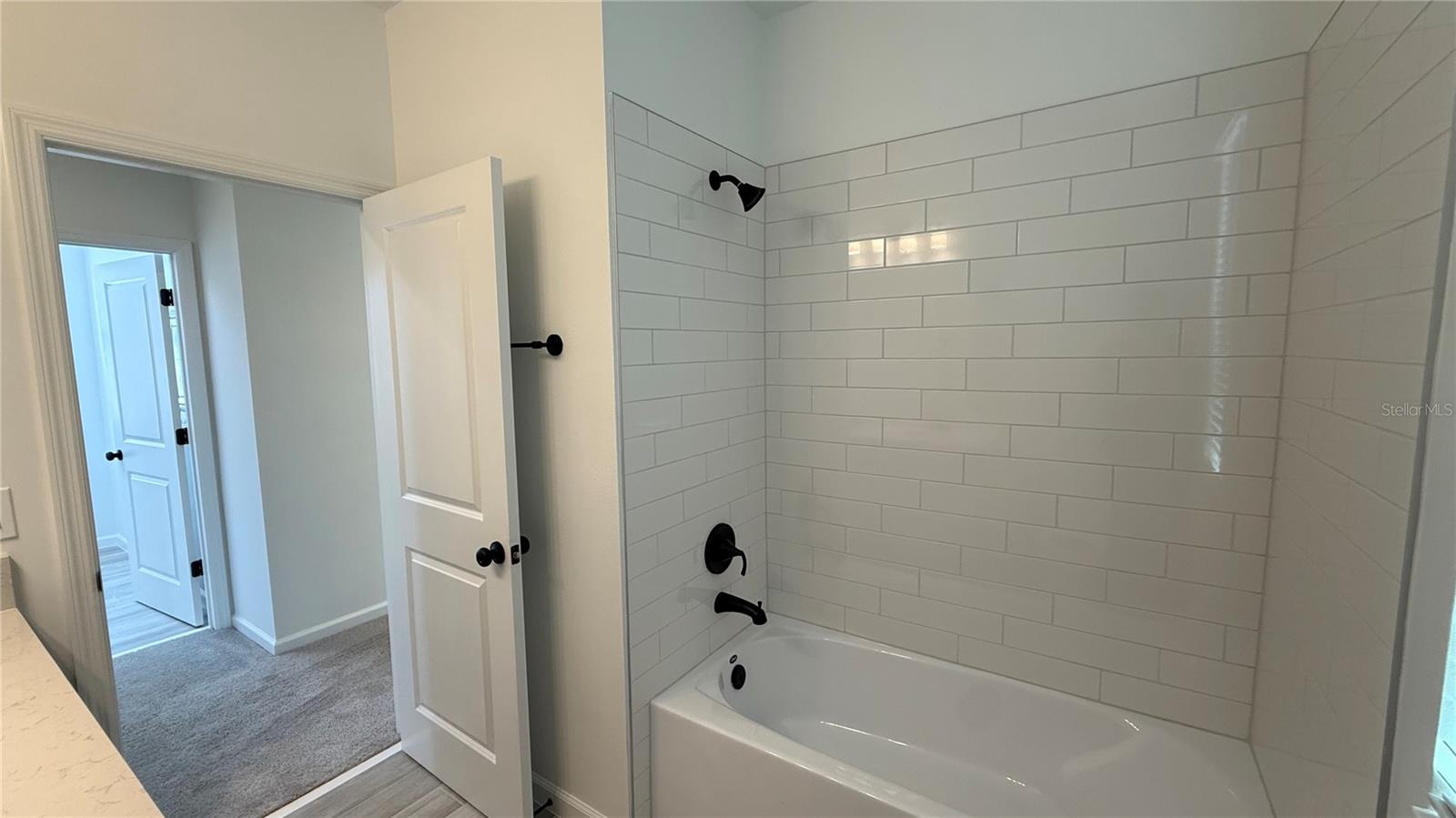 17131 BEACHGRASS ALY, WINTER GARDEN, FL — photo 26