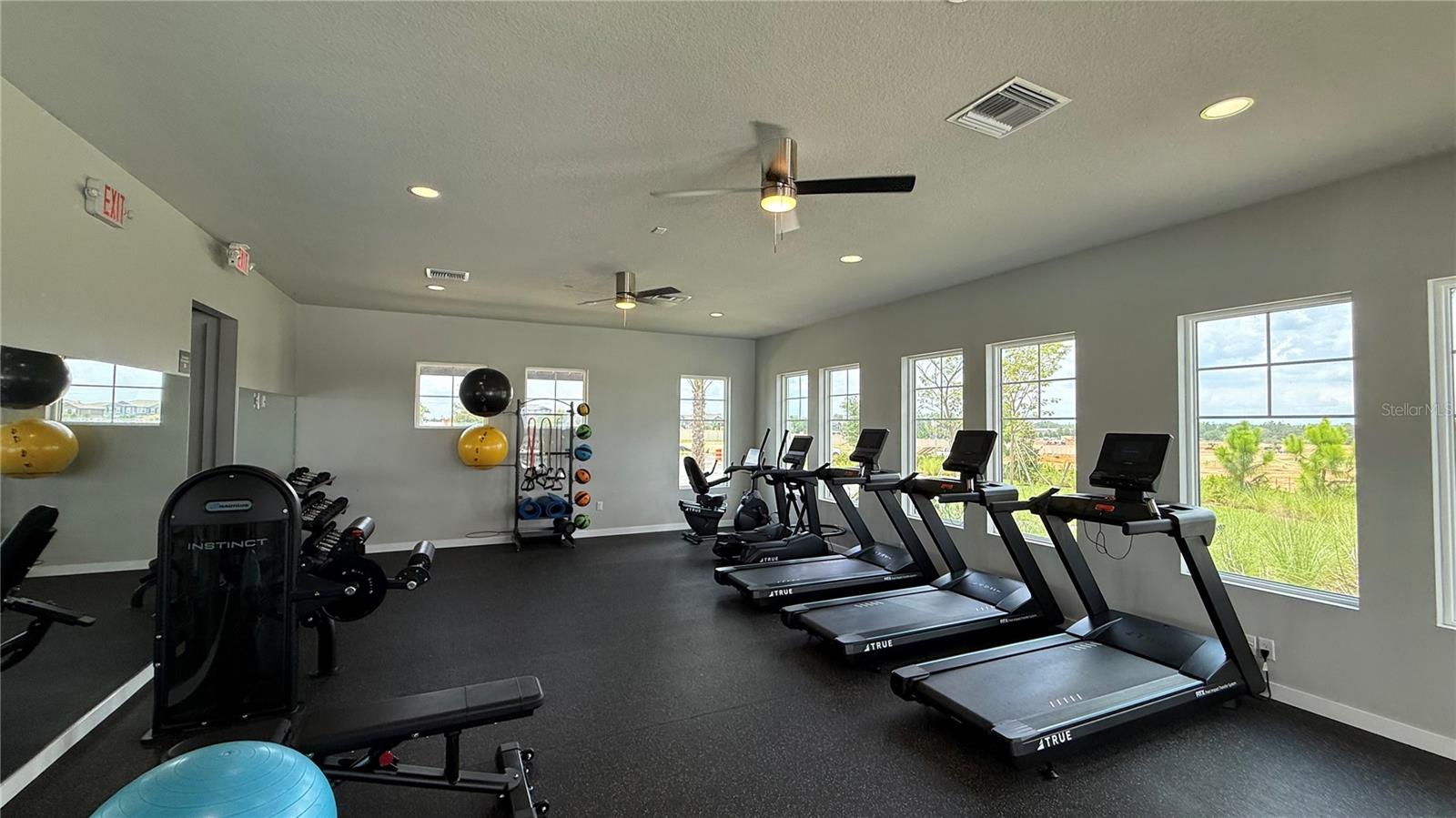 17131 BEACHGRASS ALY, WINTER GARDEN, FL — photo 47