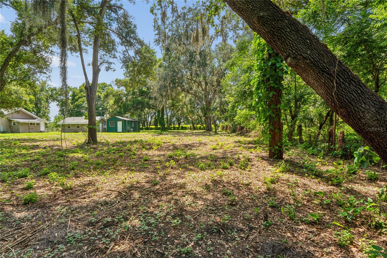 6202 STAFFORD RD, PLANT CITY, FL — photo 28