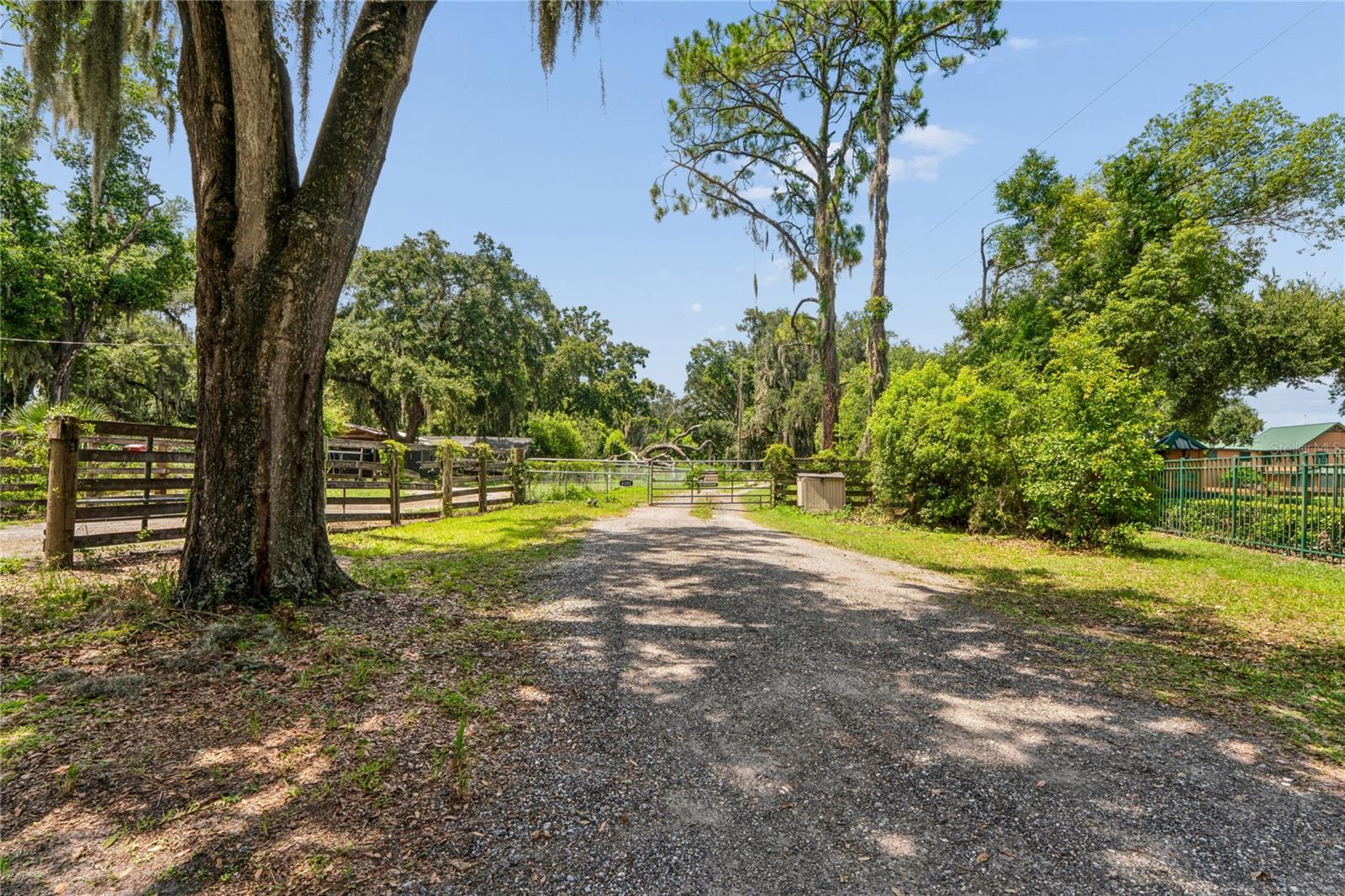 6202 STAFFORD RD, PLANT CITY, FL — photo 34