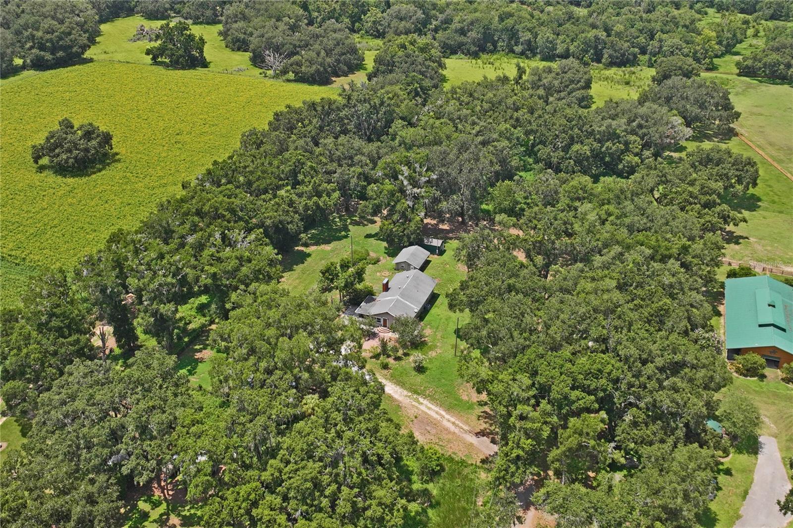 6202 STAFFORD RD, PLANT CITY, FL — photo 46