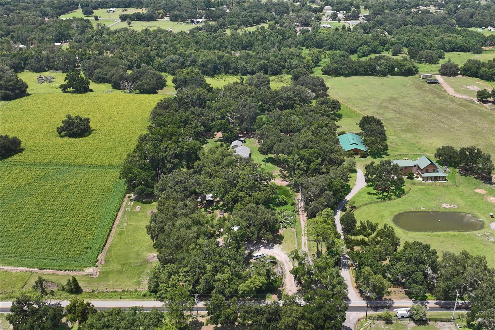 6202 STAFFORD RD, PLANT CITY, FL — photo 48