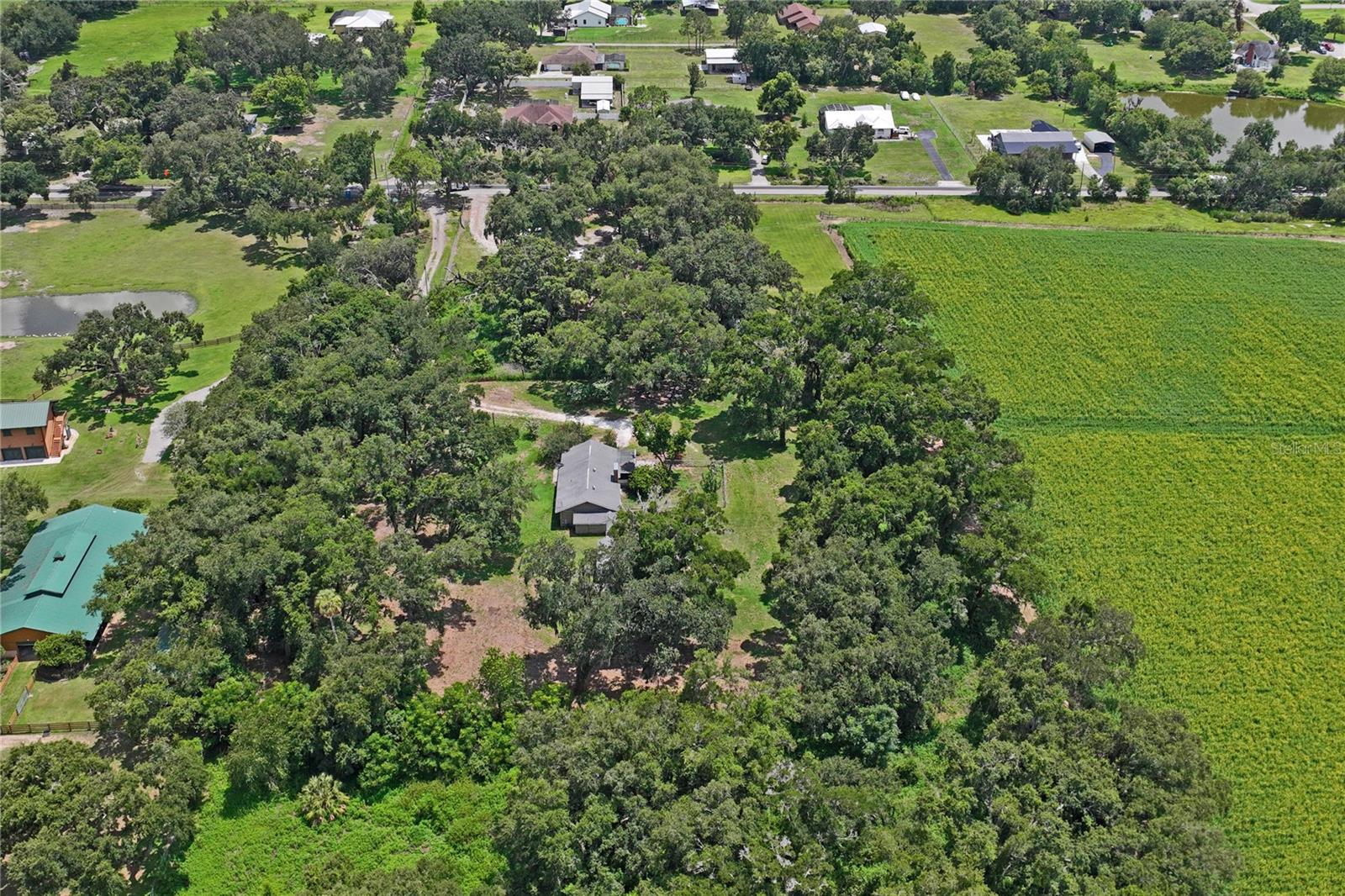 6202 STAFFORD RD, PLANT CITY, FL — photo 51