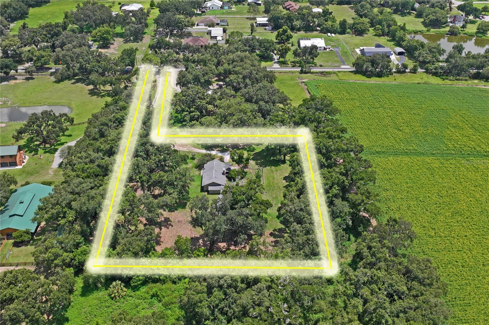 6202 STAFFORD RD, PLANT CITY, FL — photo 52