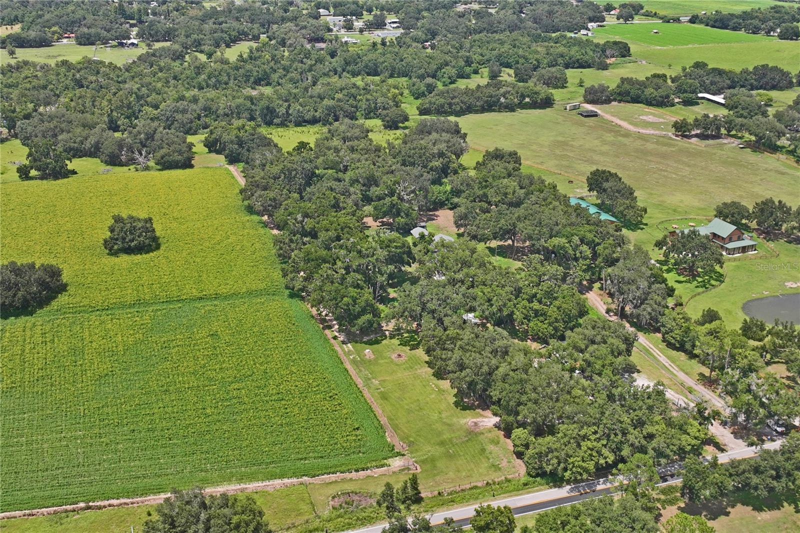 6202 STAFFORD RD, PLANT CITY, FL — photo 53