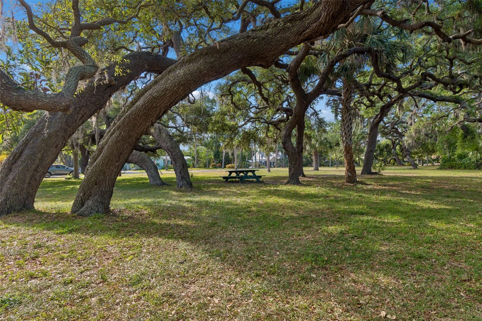 624 MAYO ST, CRYSTAL BEACH, FL — photo 29