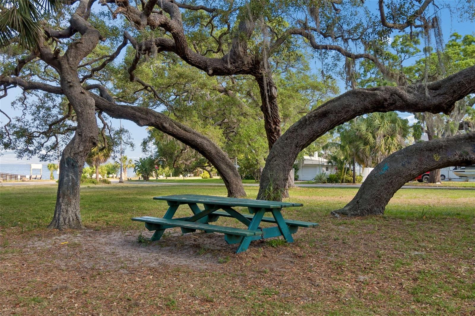624 MAYO ST, CRYSTAL BEACH, FL — photo 30