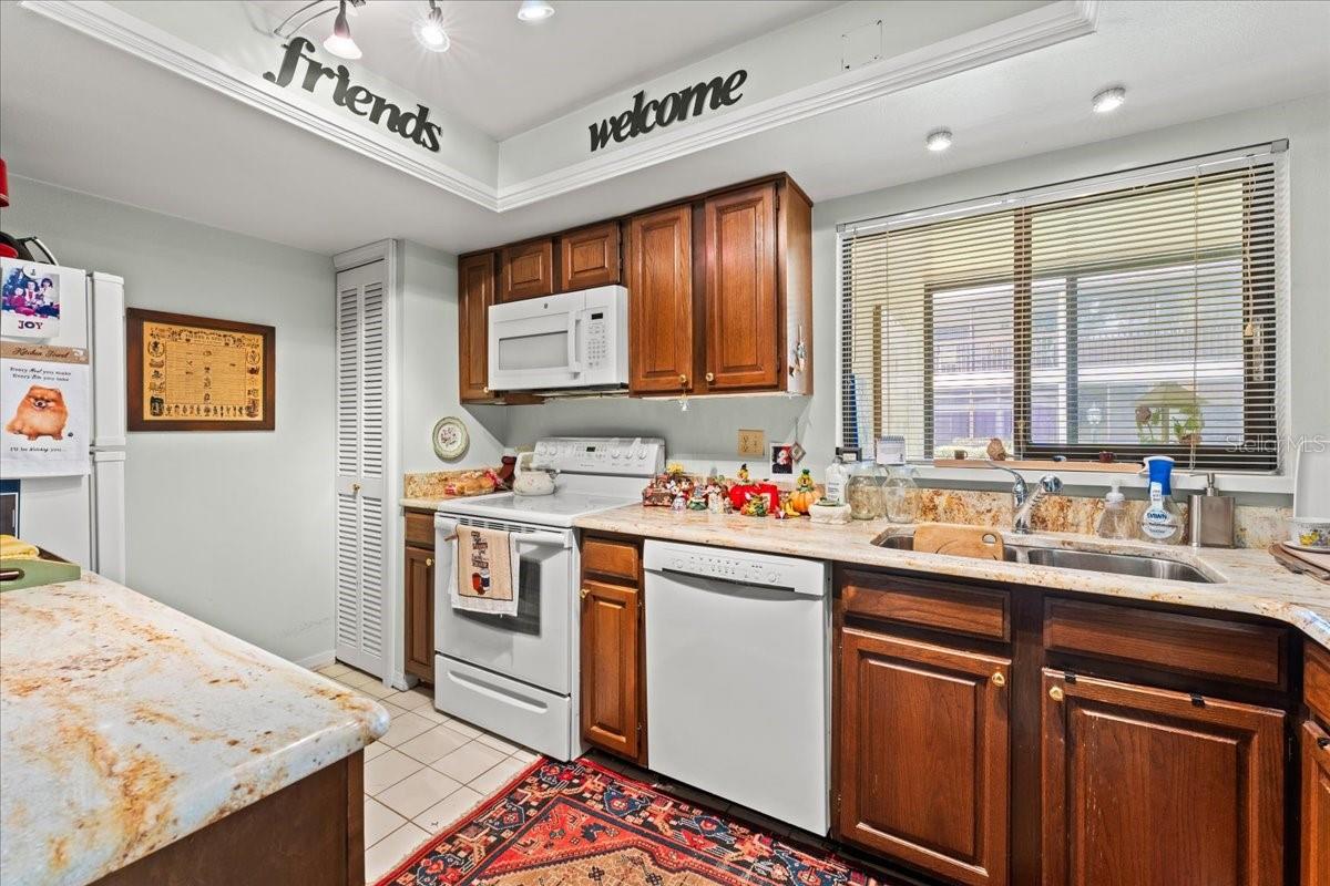 13014 VILLAGE CHASE CIR, TAMPA, FL — photo 9