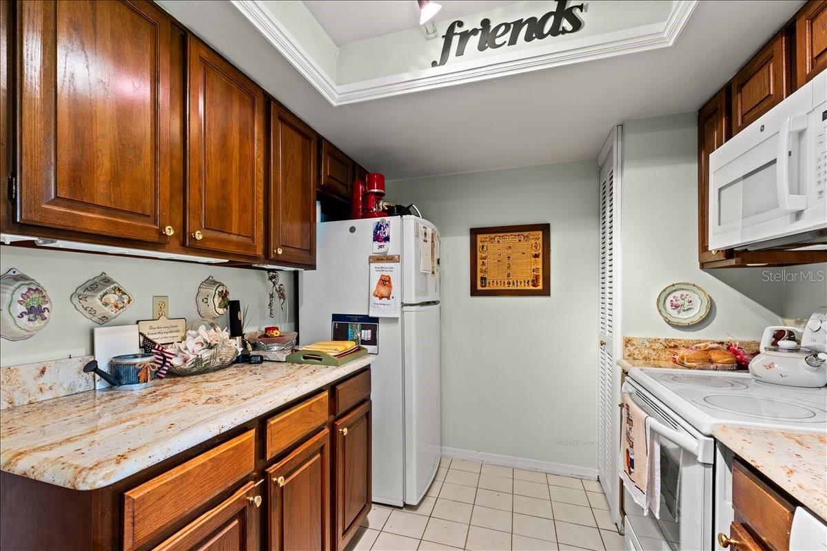 13014 VILLAGE CHASE CIR, TAMPA, FL — photo 10