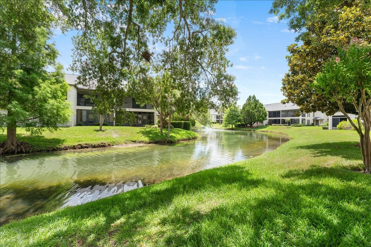 13014 VILLAGE CHASE CIR, TAMPA, FL — photo 30