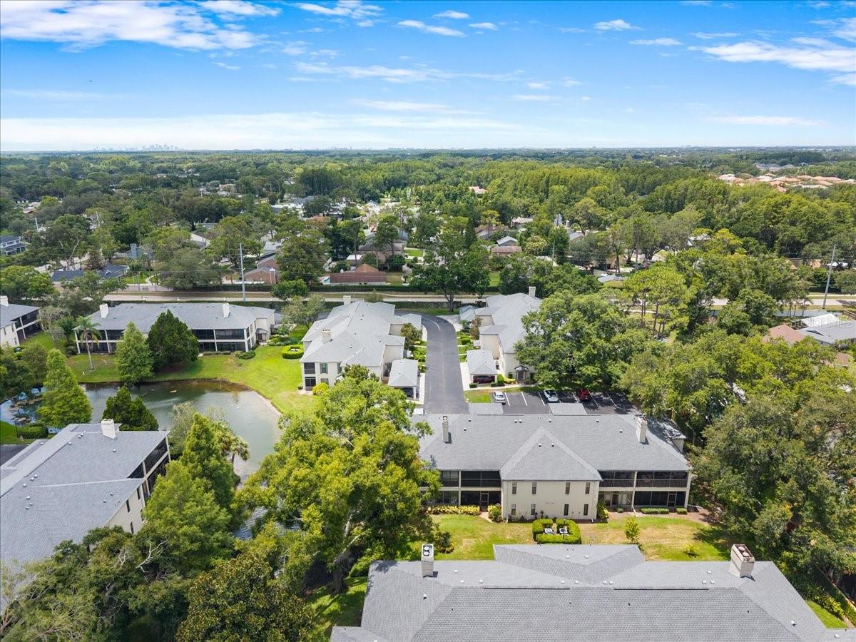13014 VILLAGE CHASE CIR, TAMPA, FL — photo 42