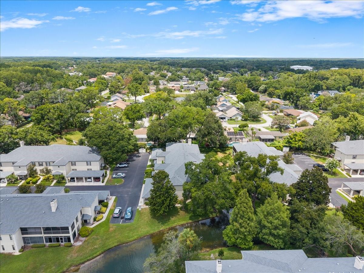 13014 VILLAGE CHASE CIR, TAMPA, FL — photo 44