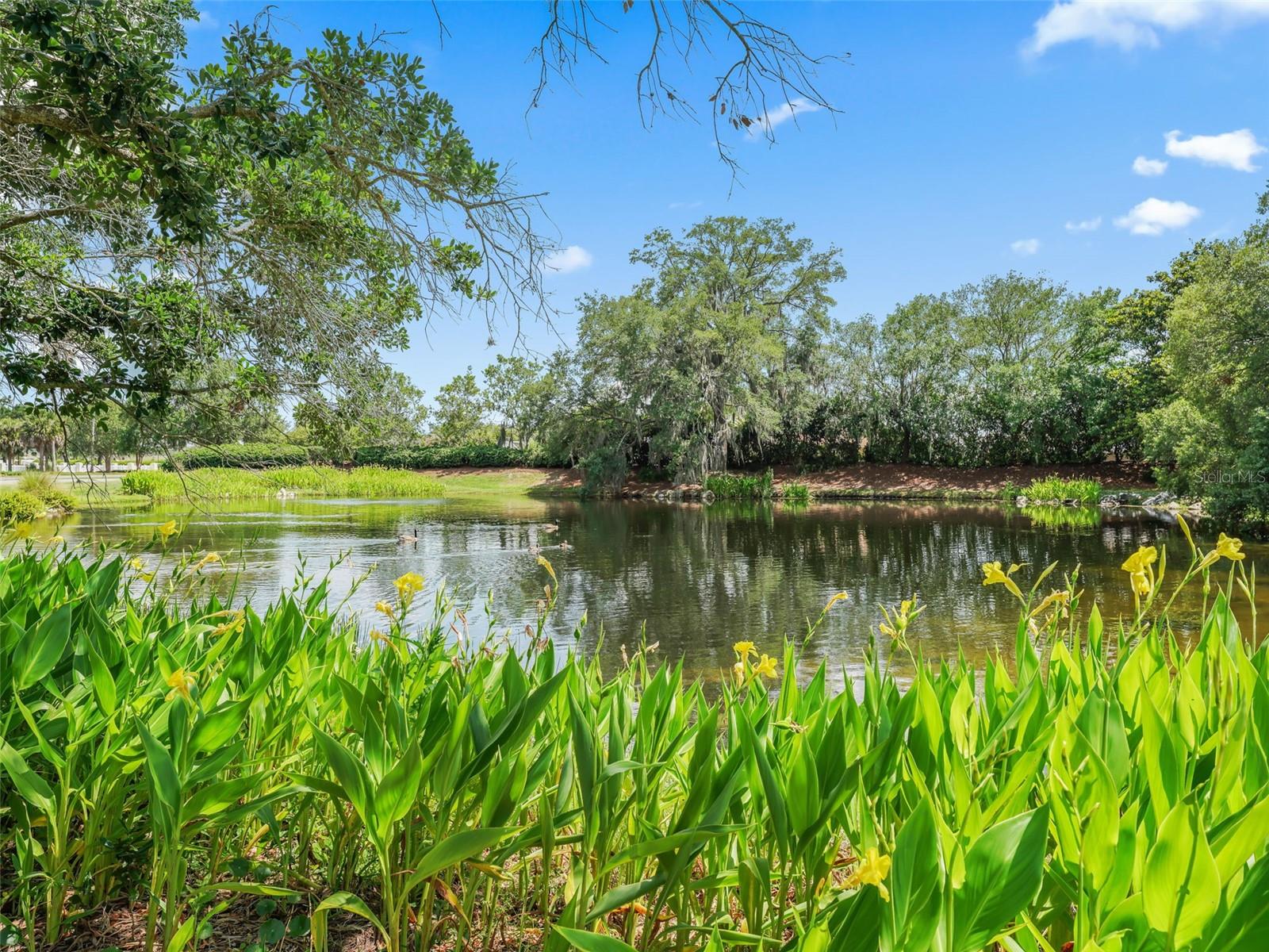 3025 HOBART CT, THE VILLAGES, FL — photo 43