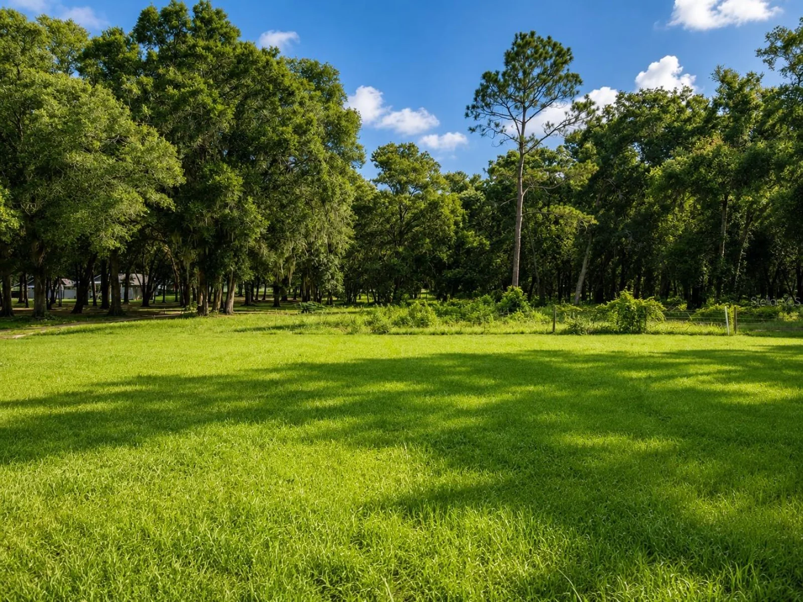 GRASS ROOTS RD, GROVELAND, FL — photo 13