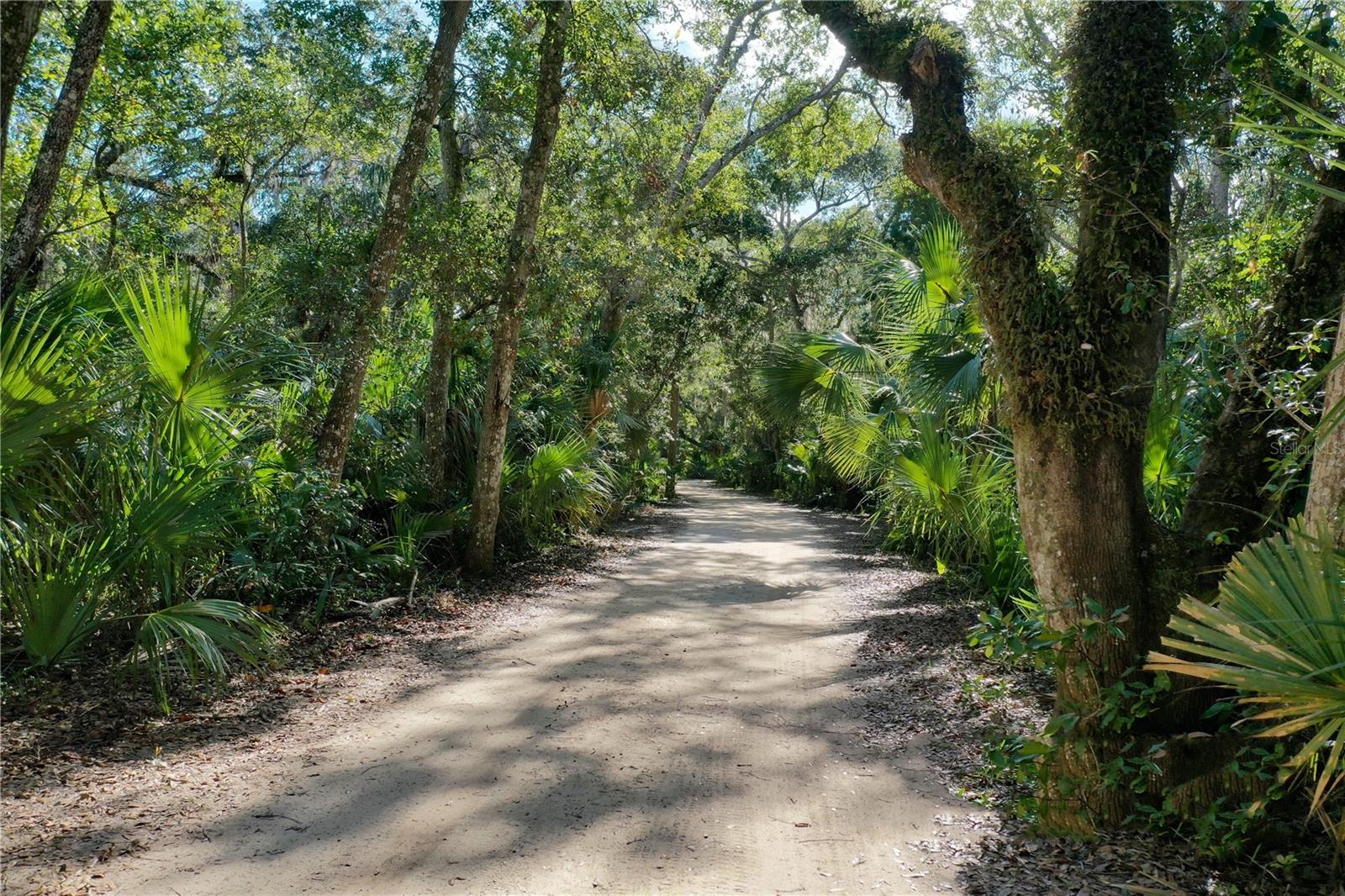 61 LAS CASITAS BLVD, PALM COAST, FL — photo 97
