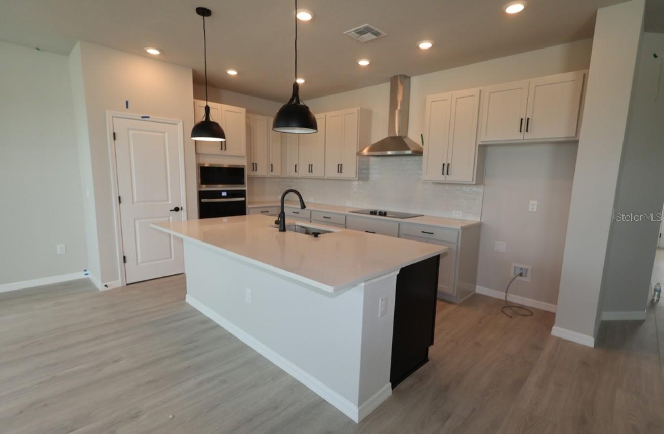 3395 YELLOW CASSIA DR, WESLEY CHAPEL, FL — photo 10