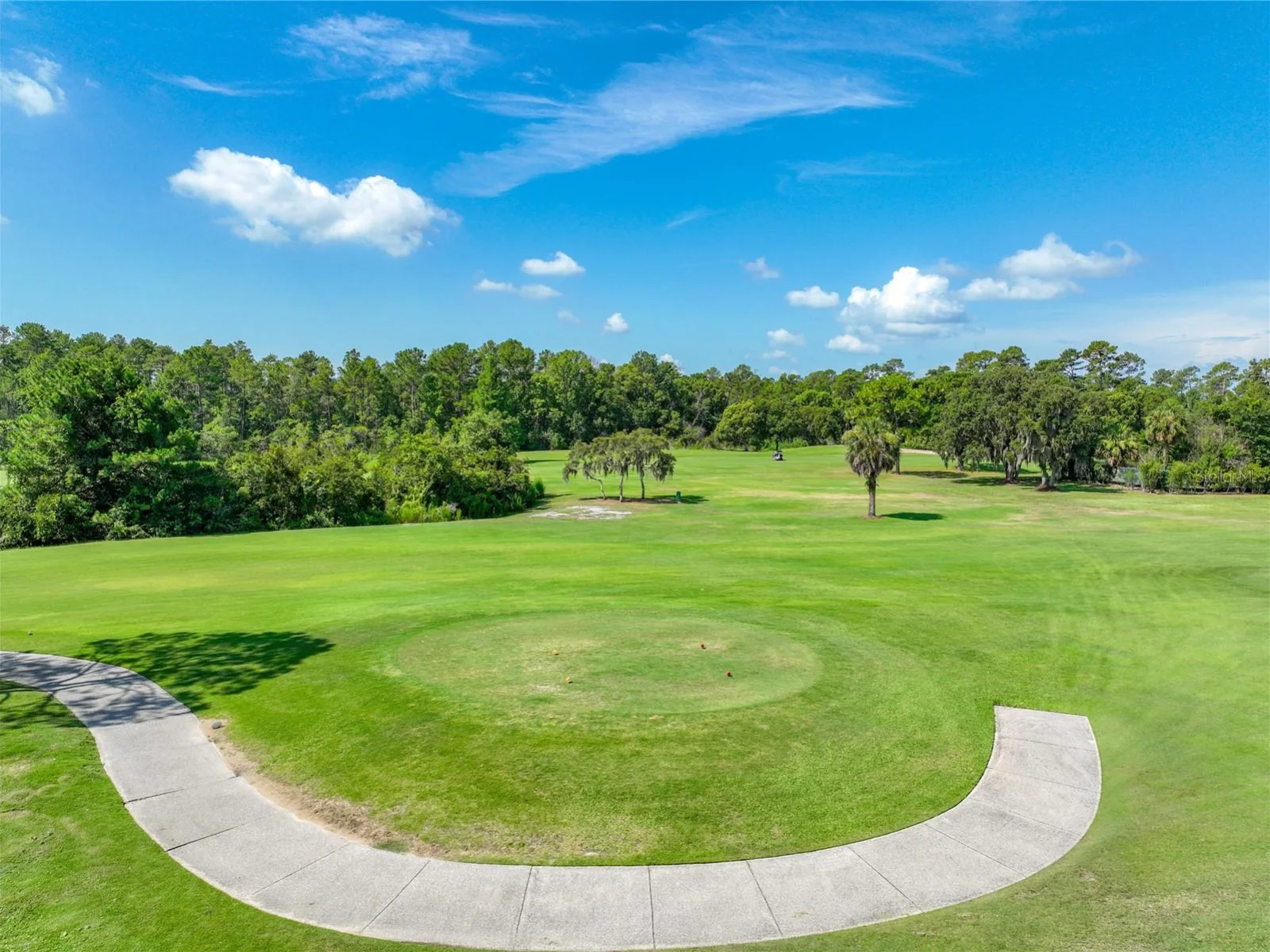 8031 ARCADIAN CT, MOUNT DORA, FL — photo 54