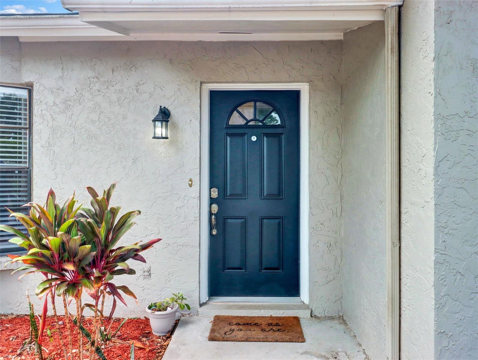 13346 MORAN DR, TAMPA, FL — photo 2