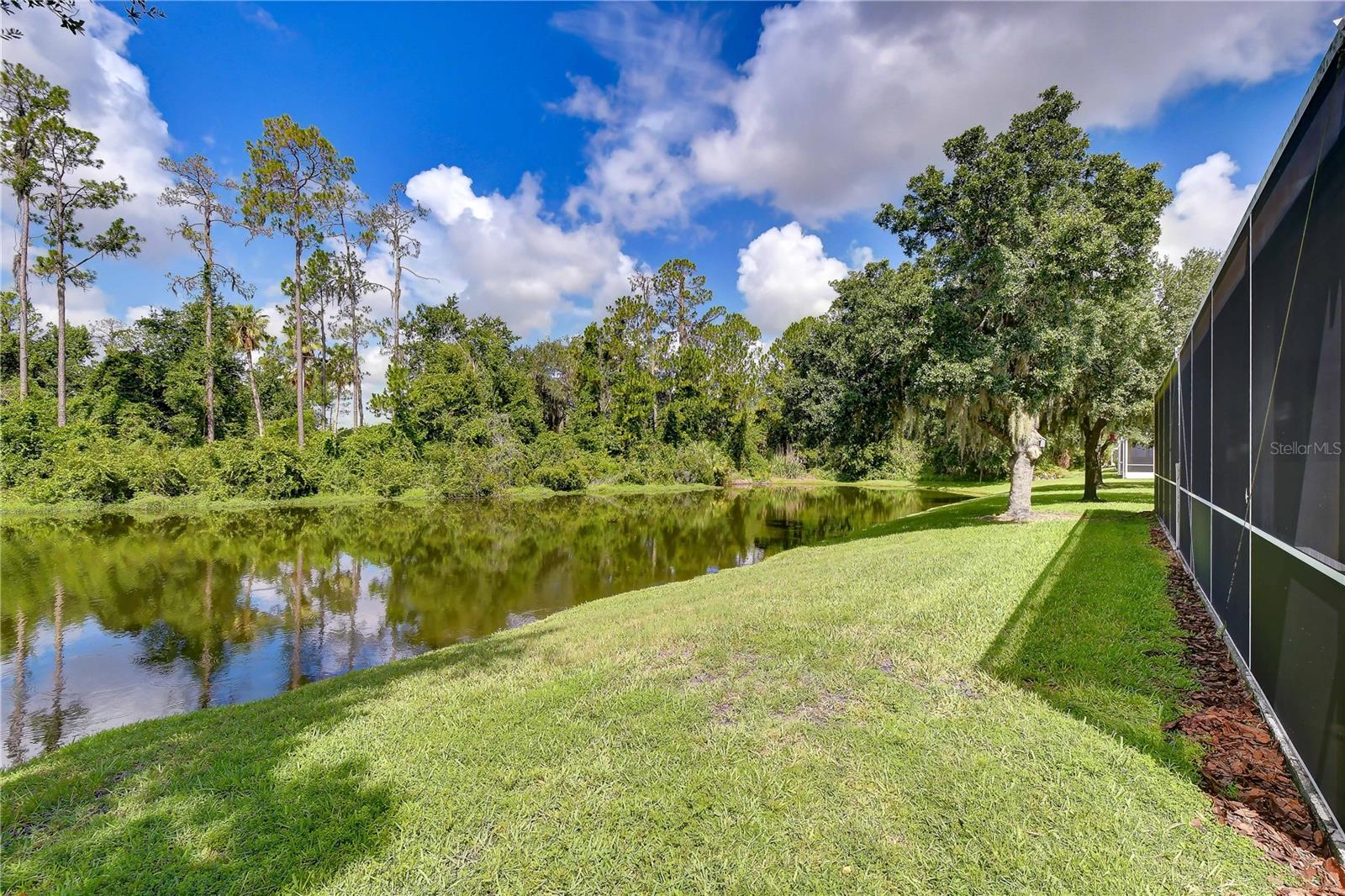 3332 CHAPEL CREEK CIR, WESLEY CHAPEL, FL — photo 2