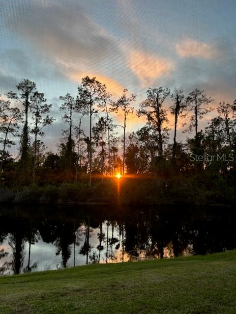 3332 CHAPEL CREEK CIR, WESLEY CHAPEL, FL — photo 4
