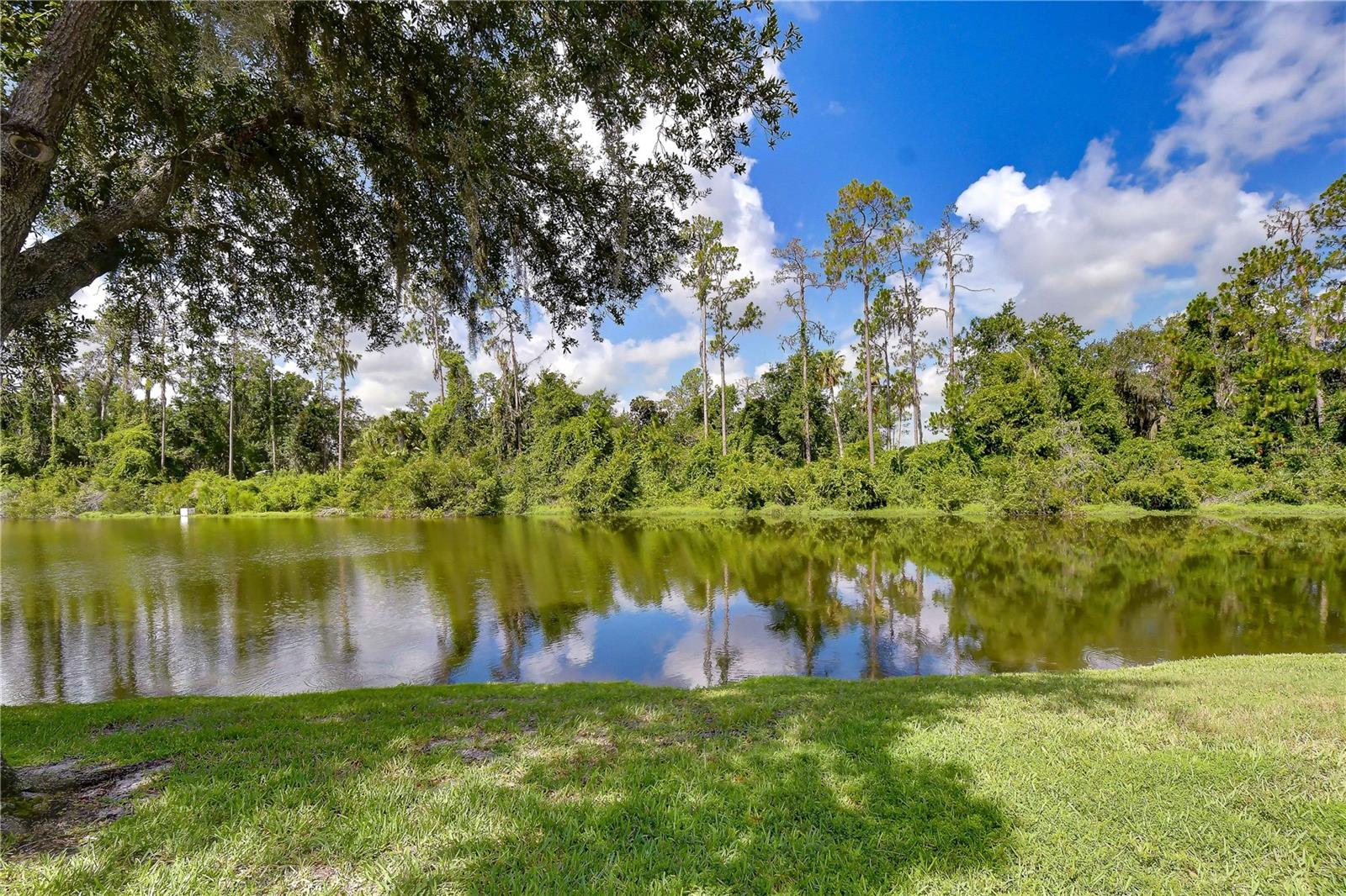 3332 CHAPEL CREEK CIR, WESLEY CHAPEL, FL — photo 62