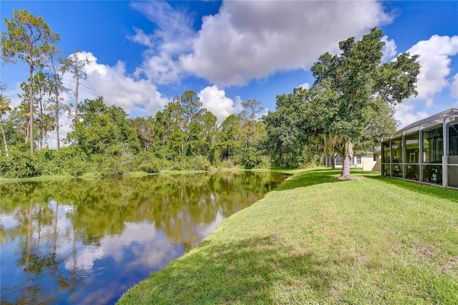 3332 CHAPEL CREEK CIR, WESLEY CHAPEL, FL — photo 63