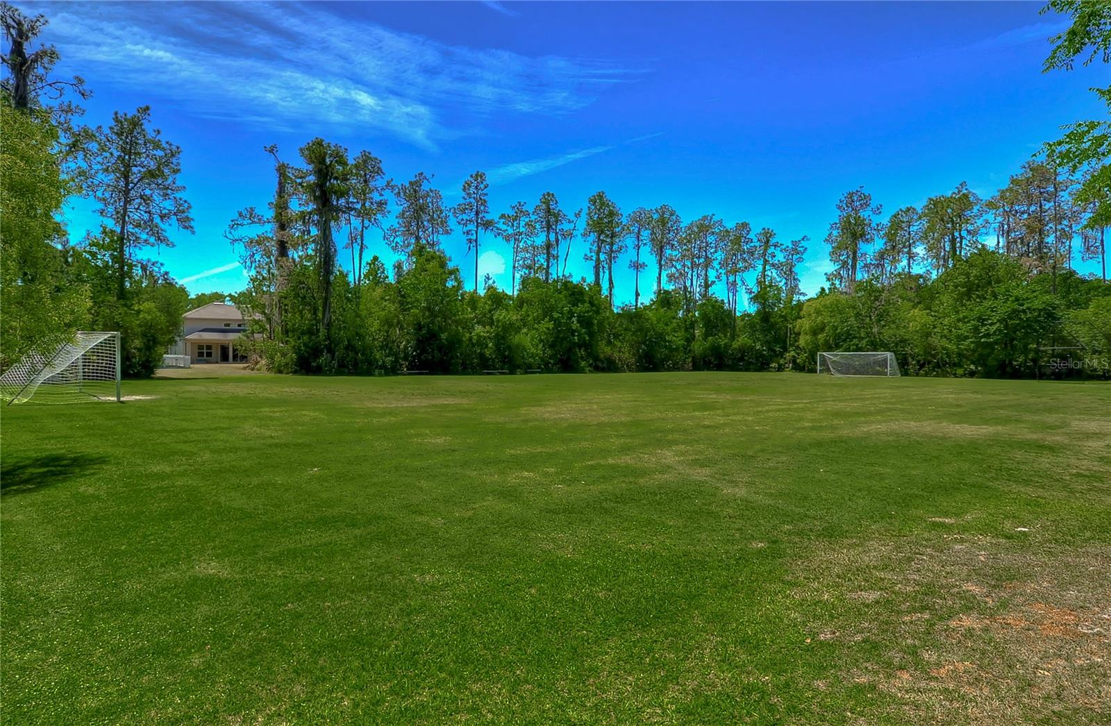 3332 CHAPEL CREEK CIR, WESLEY CHAPEL, FL — photo 80