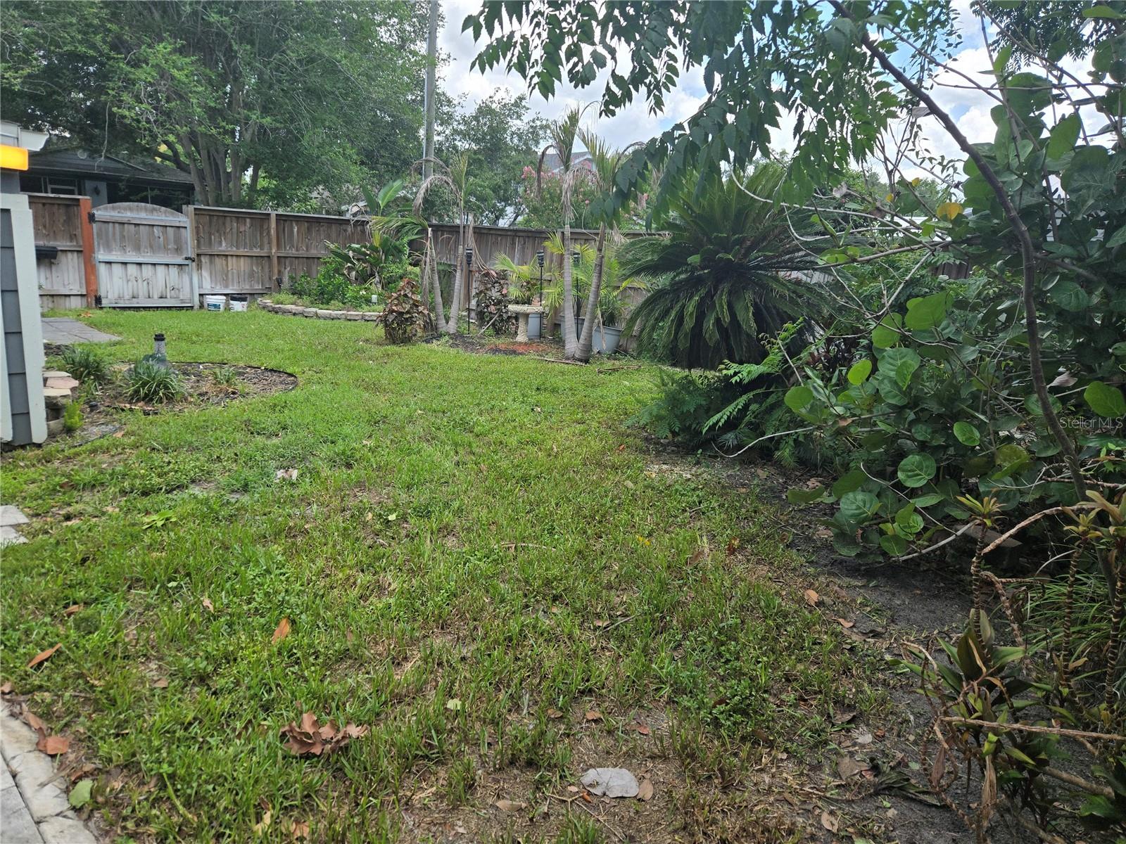 300 E IDLEWILD AVE, TAMPA, FL — photo 34