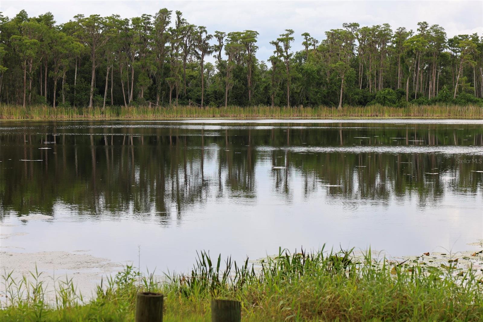 730 CRYSTAL LAKE RD, LUTZ, FL — photo 45