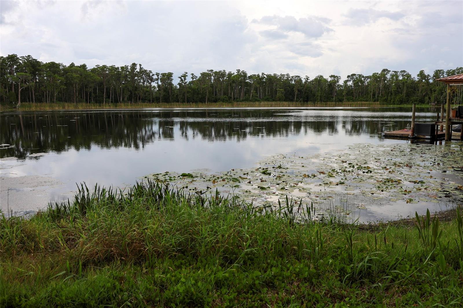 730 CRYSTAL LAKE RD, LUTZ, FL — photo 47