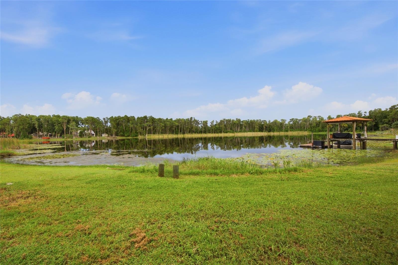 730 CRYSTAL LAKE RD, LUTZ, FL — photo 41