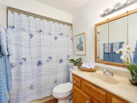 1015 W MONTROSE ST — photo 42