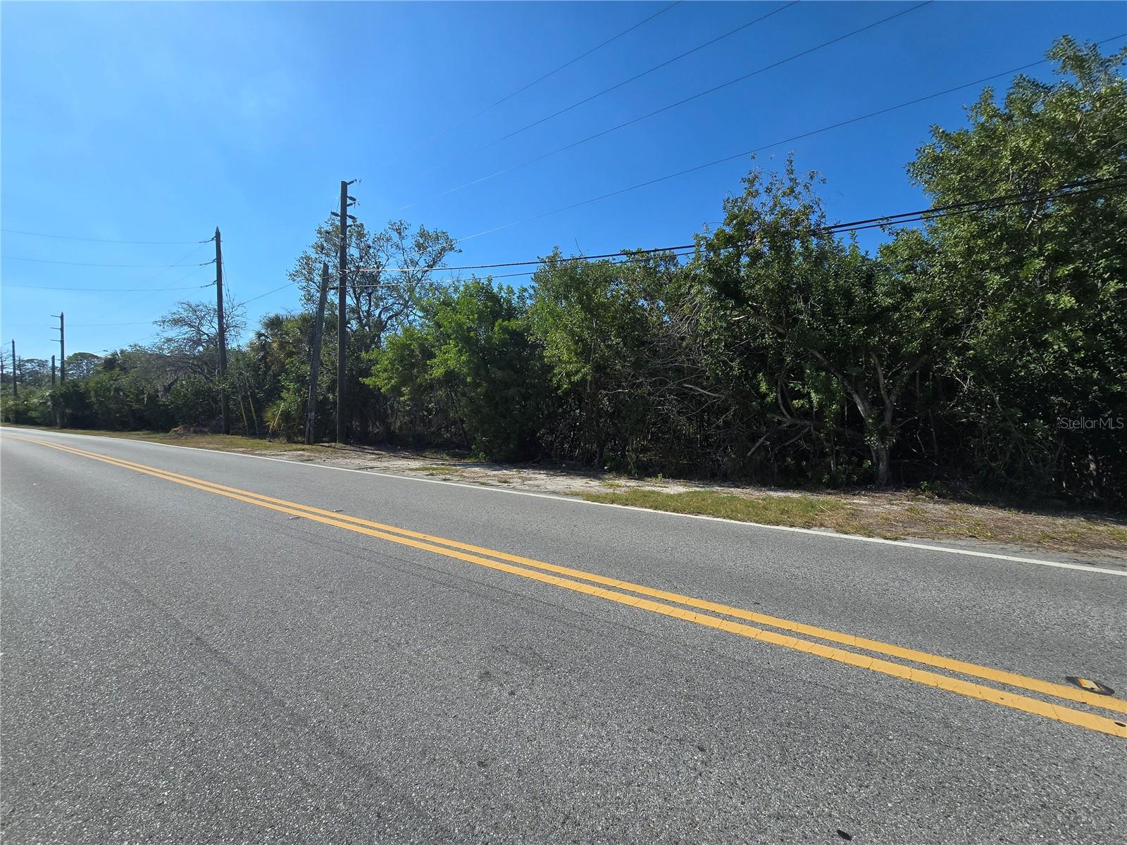 MAIN STREET, NEW PORT RICHEY, FL — photo 13