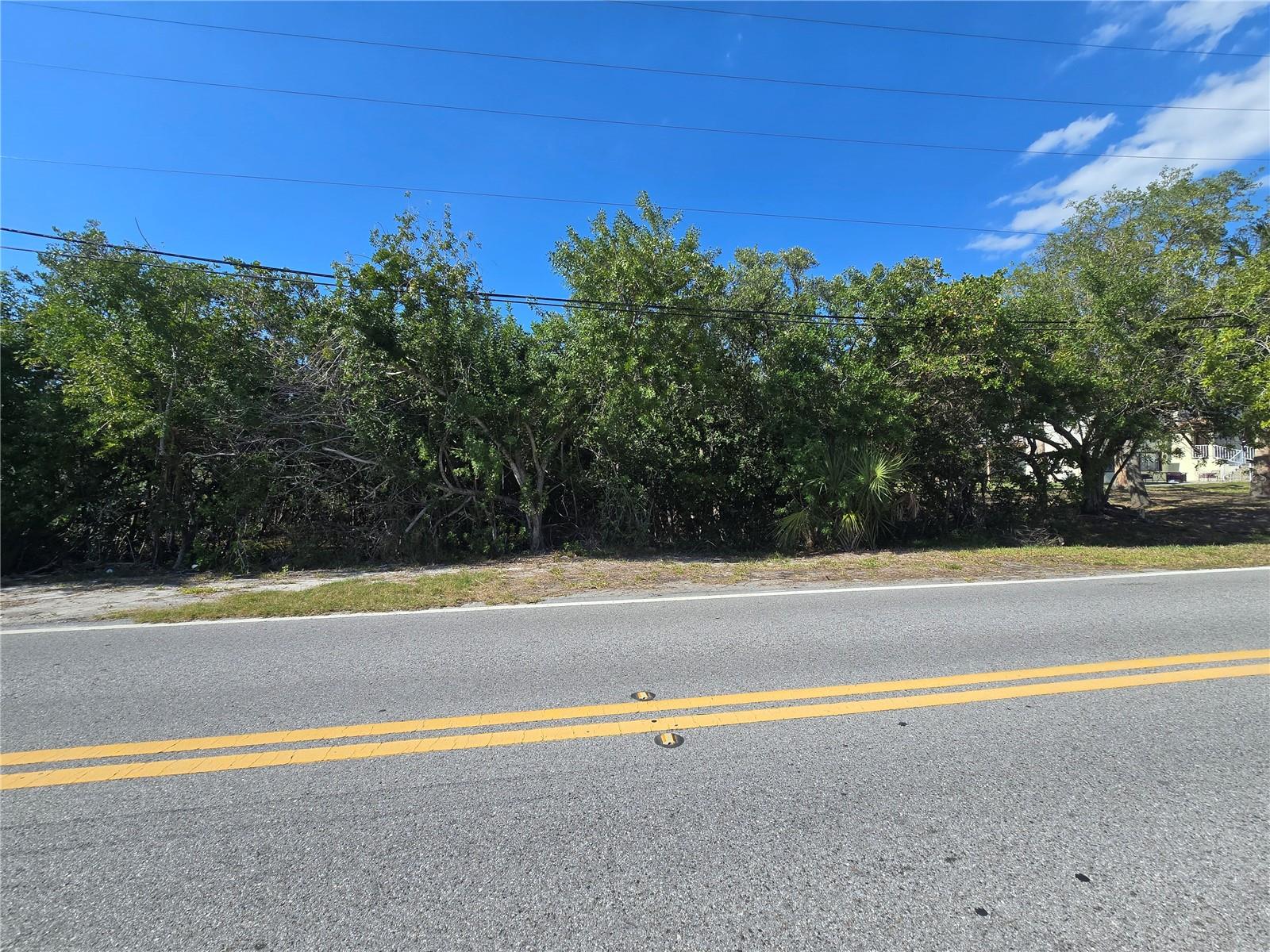 MAIN STREET, NEW PORT RICHEY, FL — photo 14