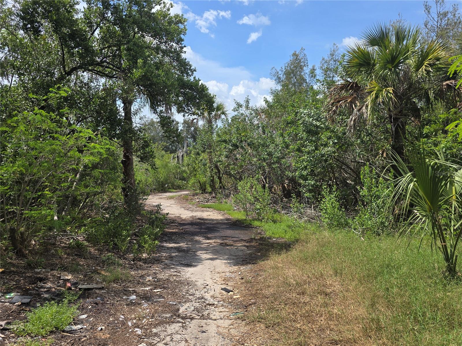 MAIN STREET, NEW PORT RICHEY, FL — photo 15