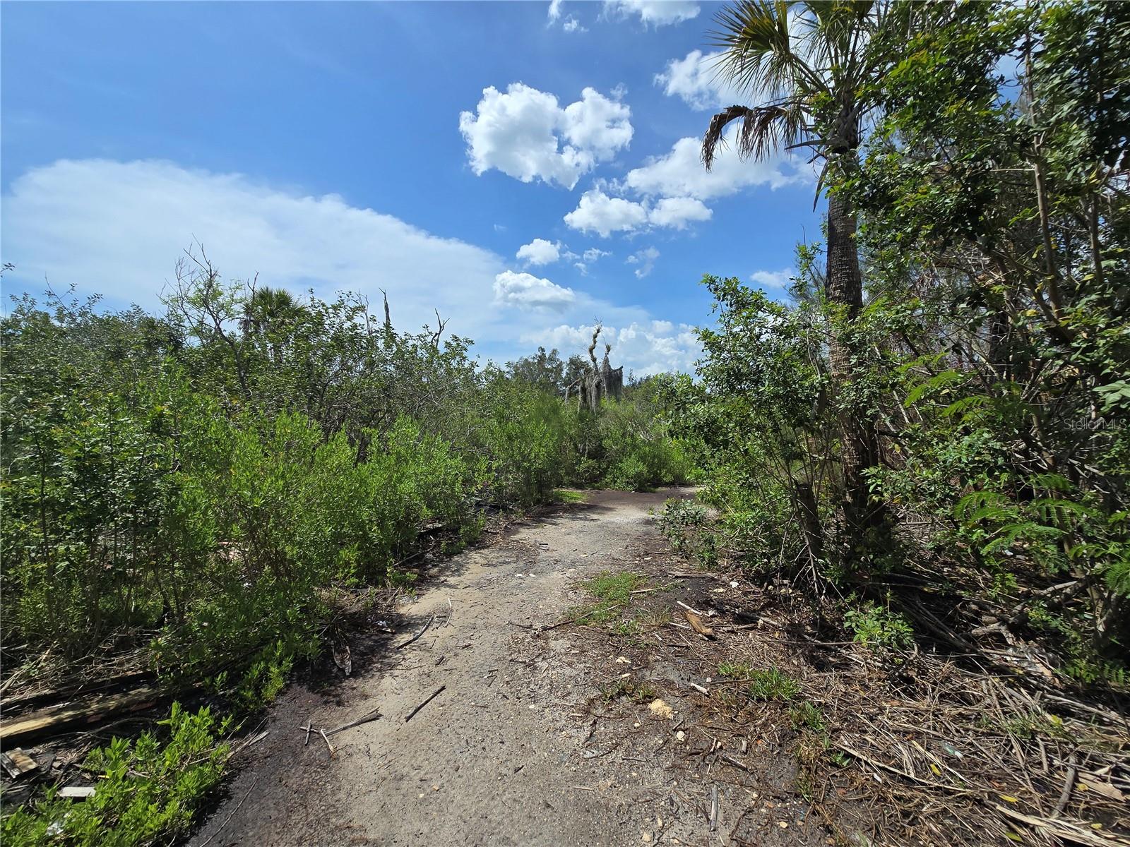 MAIN STREET, NEW PORT RICHEY, FL — photo 16