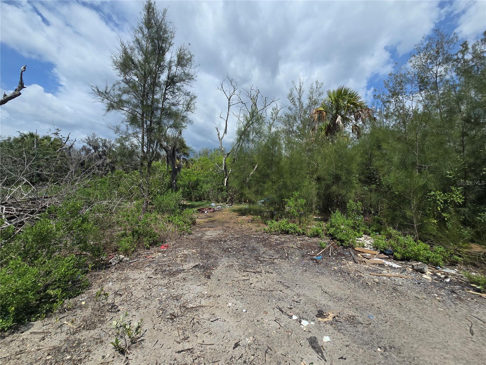 MAIN STREET, NEW PORT RICHEY, FL — photo 21