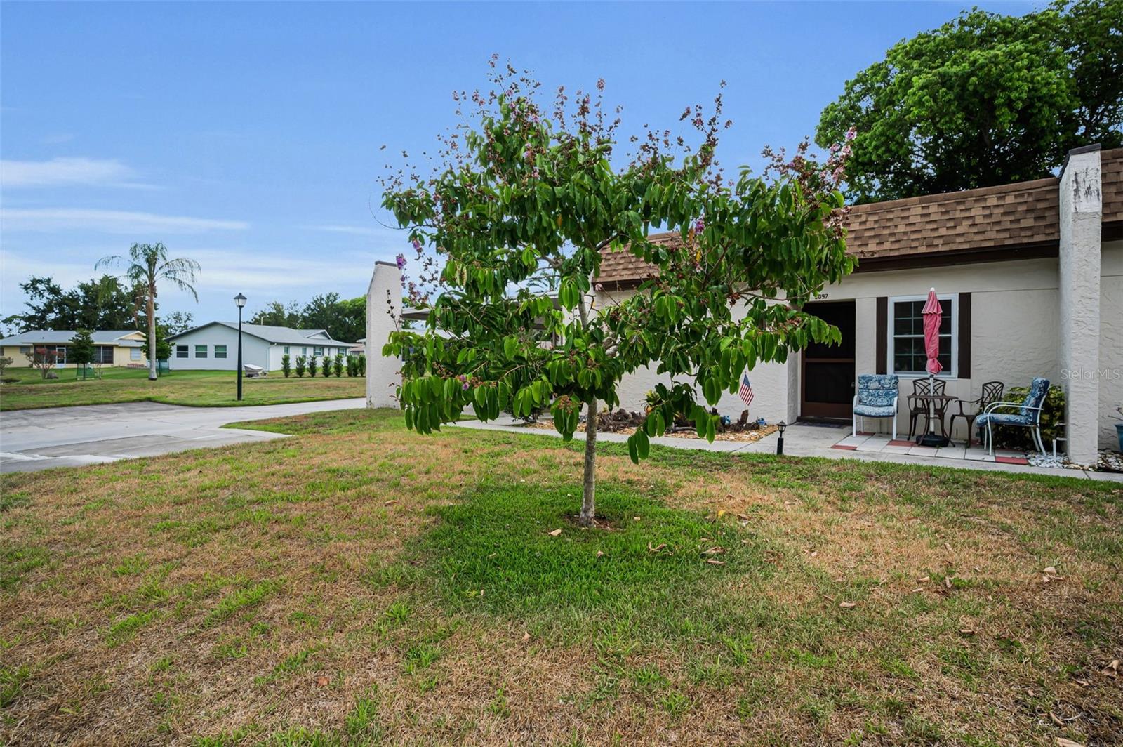 3097 MISSION GROVE DR, PALM HARBOR, FL — photo 3