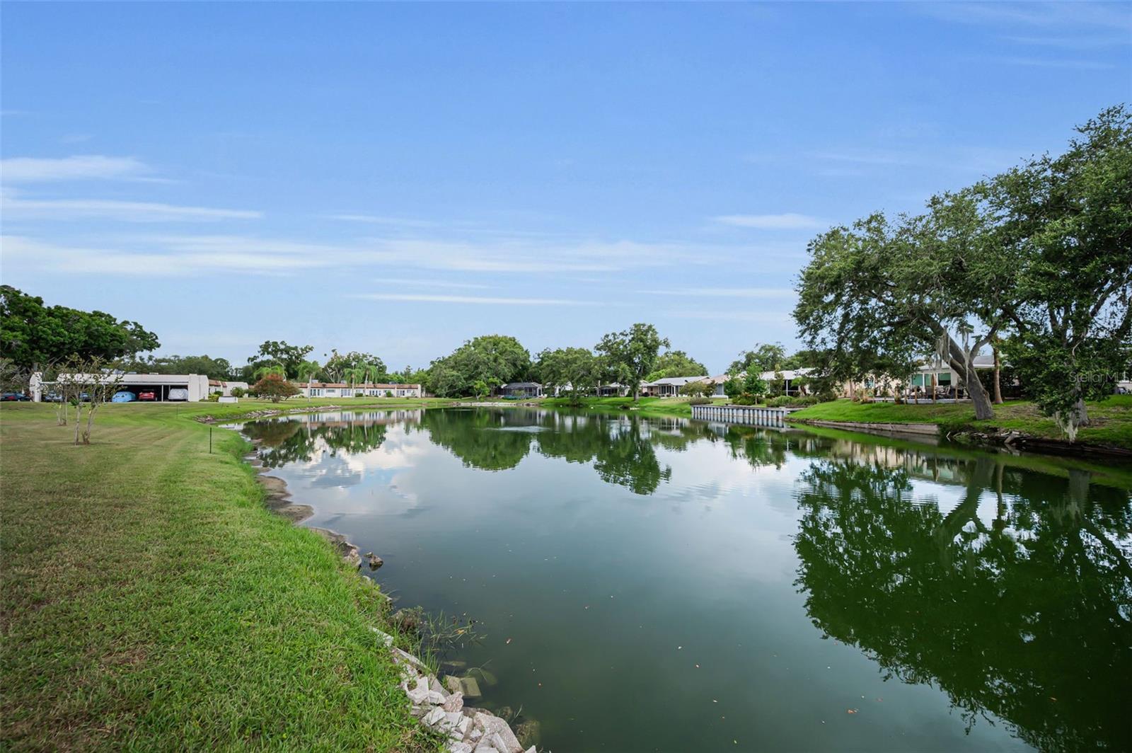 3097 MISSION GROVE DR, PALM HARBOR, FL — photo 4