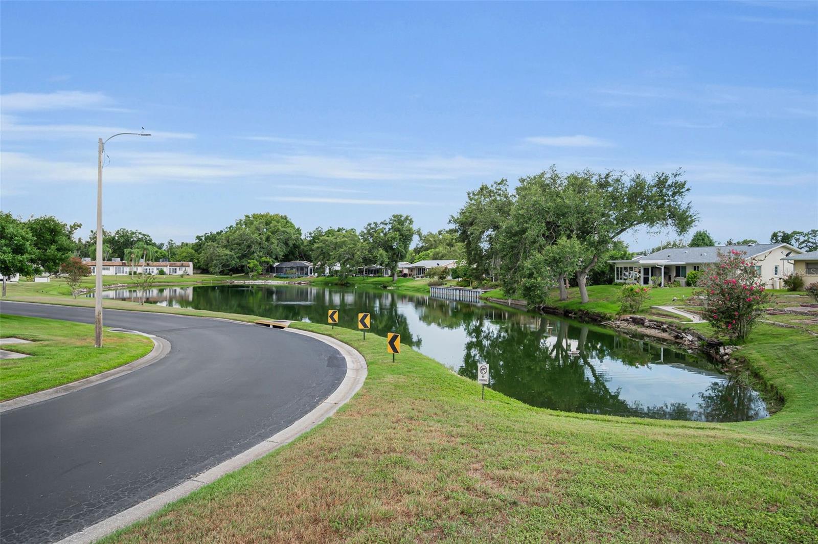 3097 MISSION GROVE DR, PALM HARBOR, FL — photo 5