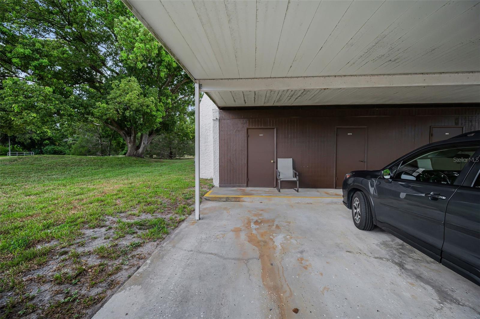 3097 MISSION GROVE DR, PALM HARBOR, FL — photo 8