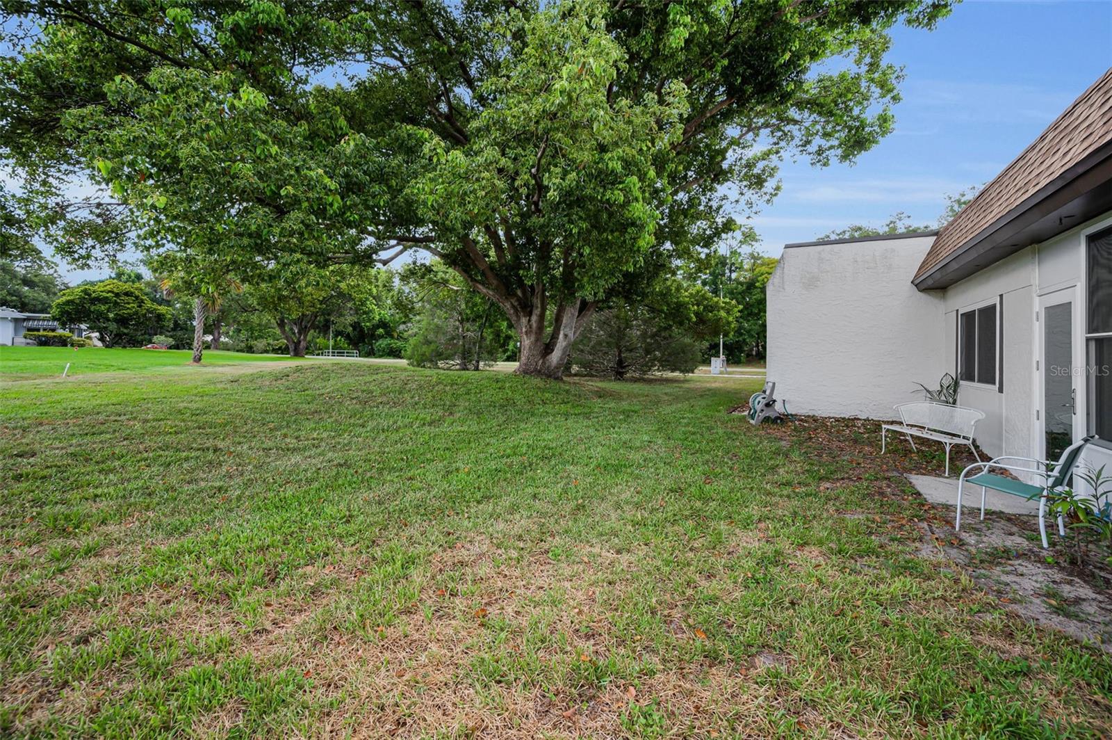 3097 MISSION GROVE DR, PALM HARBOR, FL — photo 35