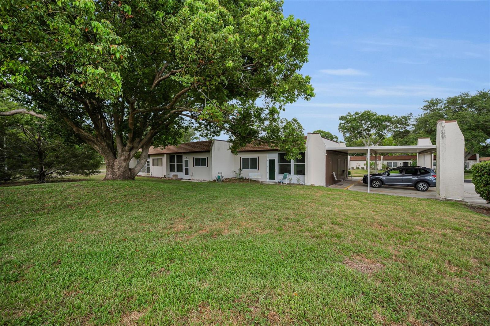 3097 MISSION GROVE DR, PALM HARBOR, FL — photo 36