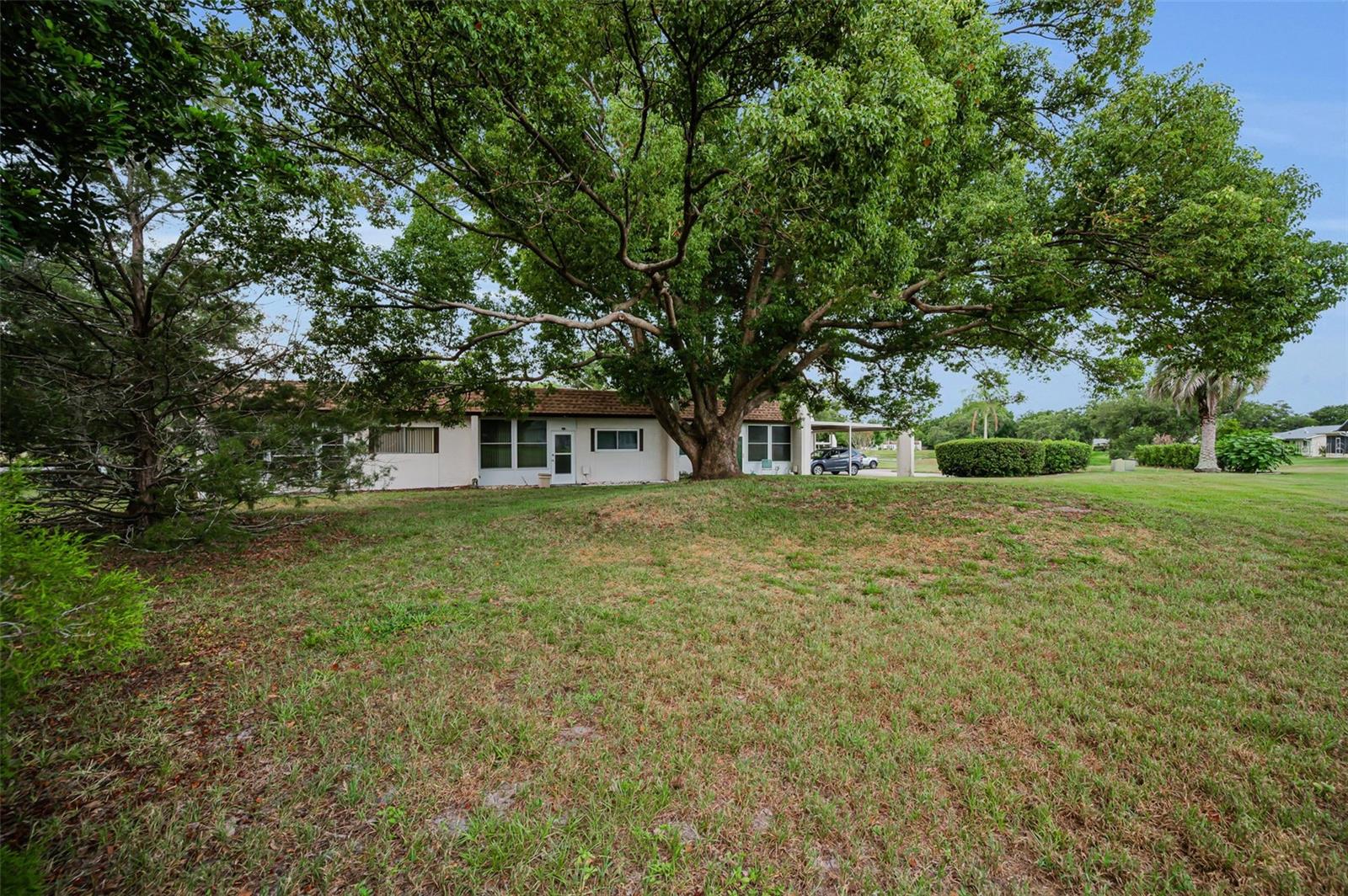 3097 MISSION GROVE DR, PALM HARBOR, FL — photo 37