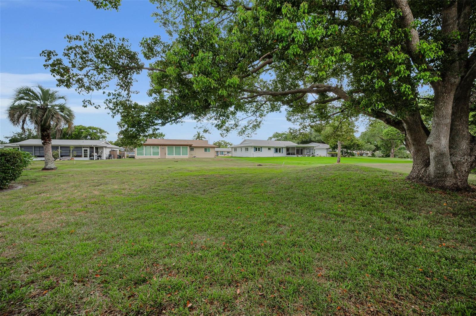 3097 MISSION GROVE DR, PALM HARBOR, FL — photo 38
