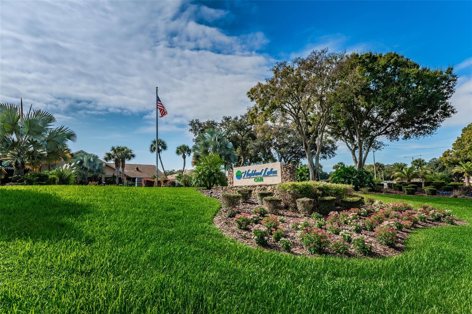 3097 MISSION GROVE DR, PALM HARBOR, FL — photo 44