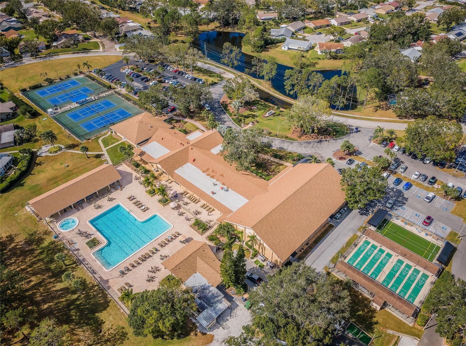 3097 MISSION GROVE DR, PALM HARBOR, FL — photo 46