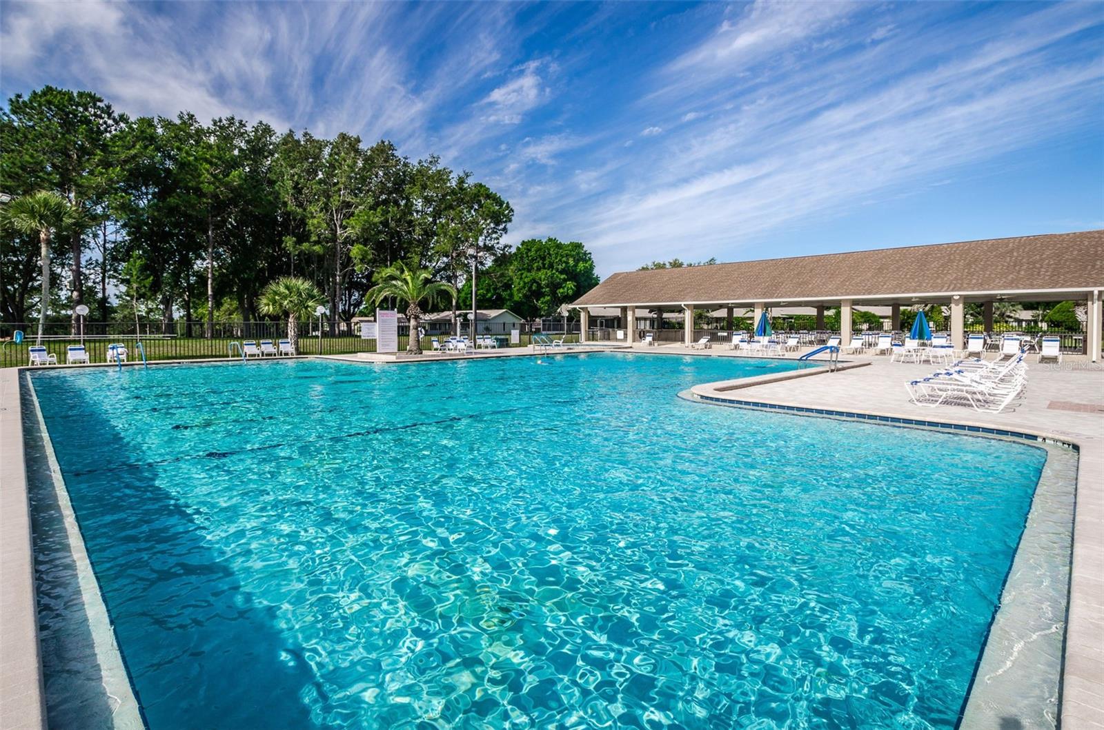 3097 MISSION GROVE DR, PALM HARBOR, FL — photo 47