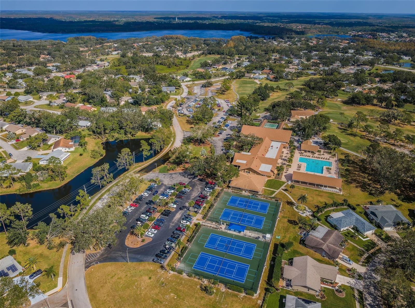 3097 MISSION GROVE DR, PALM HARBOR, FL — photo 55