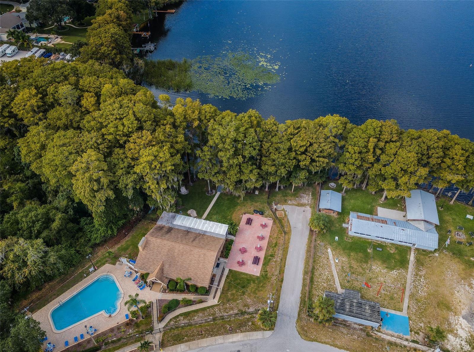 3097 MISSION GROVE DR, PALM HARBOR, FL — photo 59